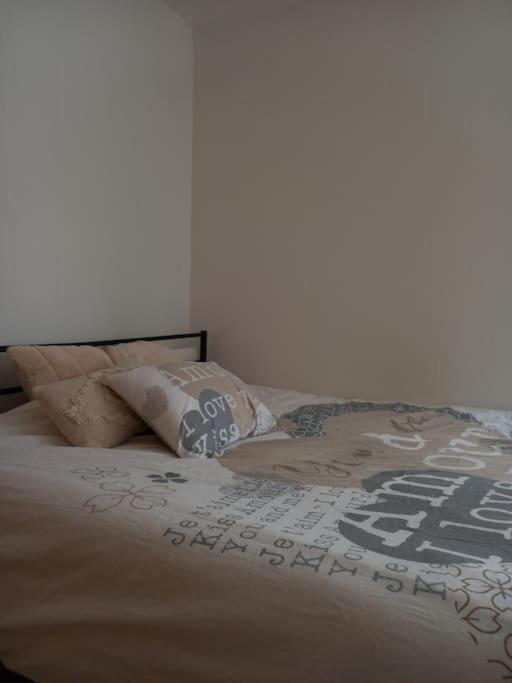 Le Doubs Cosy Apartment Besancon Exterior photo